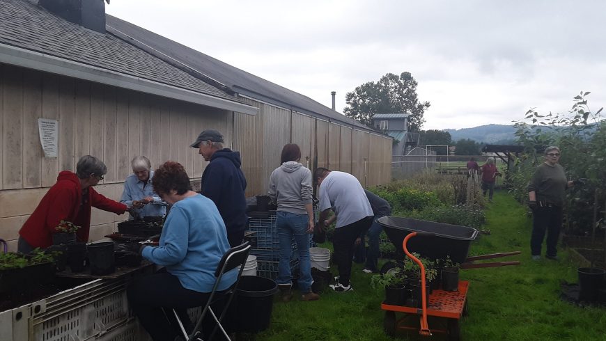 Native Plant Nursery Sale – April 2021
