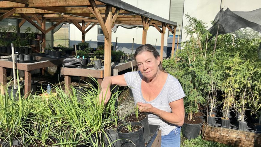 Nursery Volunteer Session