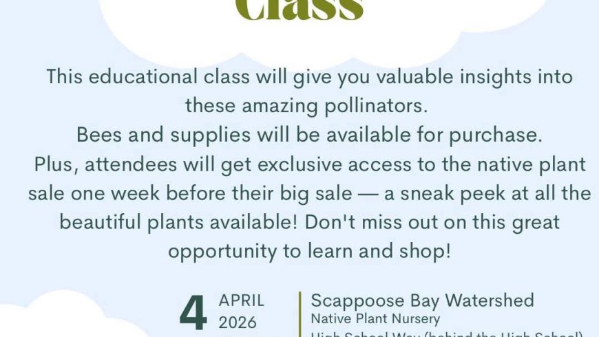 Mason Bee Class